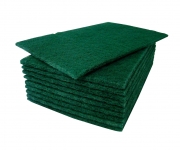 10PK ECONOMY CATERING SCOURER