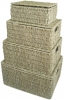 Seagrass Box Normal Weave 4pc