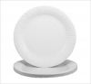 Best House 50pk Large Polystyrene Plates