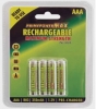 Primepowermax Rechargeable Aaa Battries